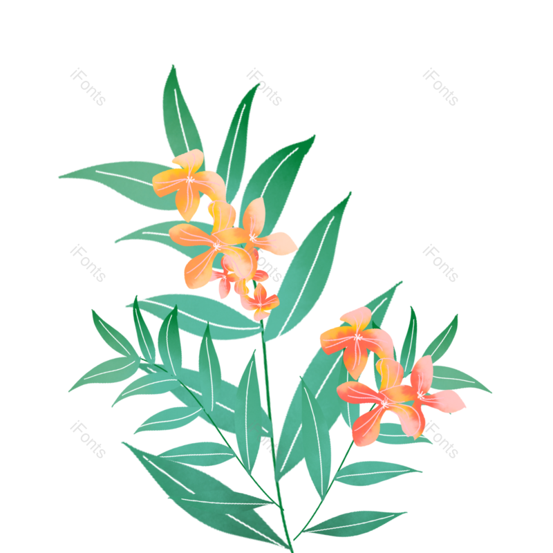 装饰图片,素材元素,鲜花PNG,春季免抠素材
